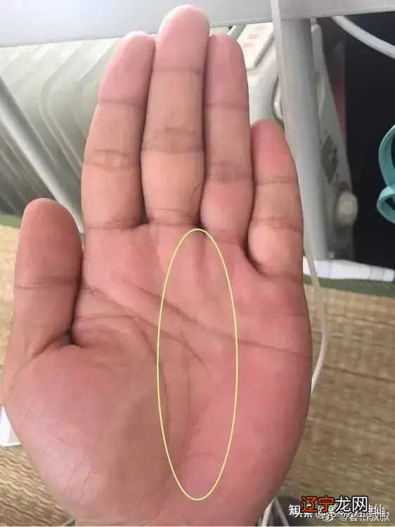 学会看手掌！事业线图解大全