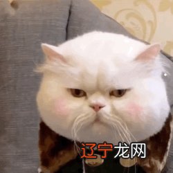 一下如何去画加菲猫卡通人物加菲猫,准备好了吗?