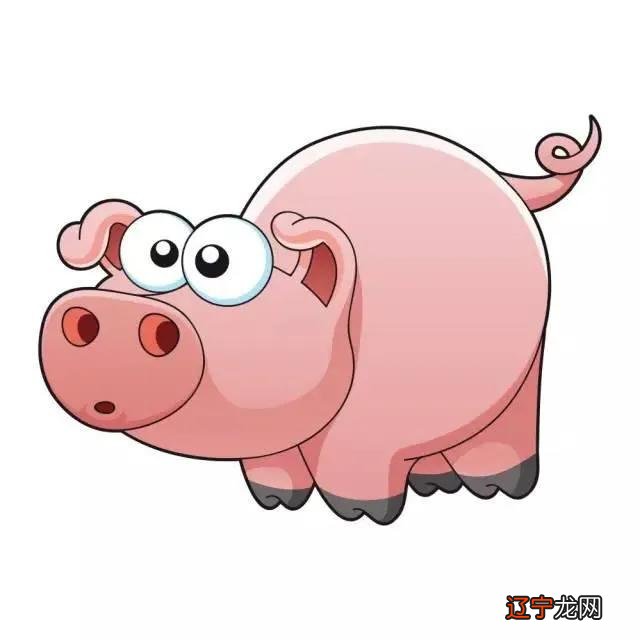 十二生肖女主角,十二生肖女的缺点各是什么？