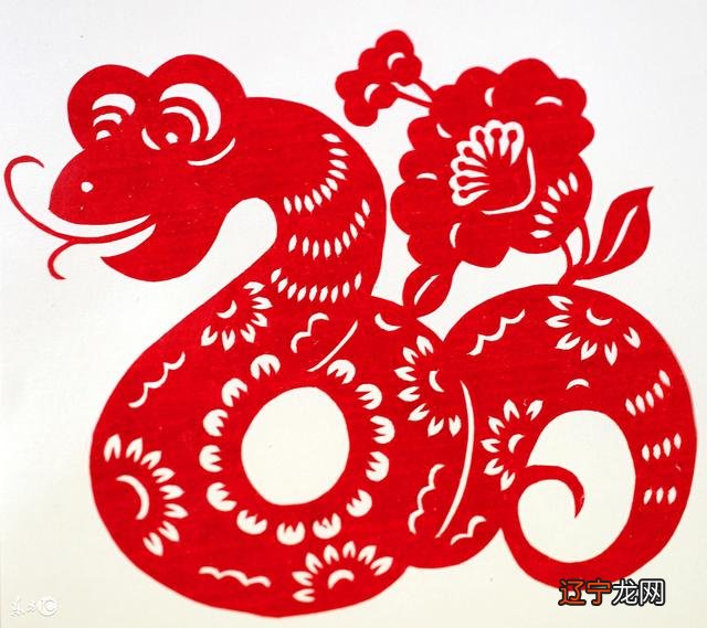 免费算命十二生肖运势,2022 年12生肖运势解析