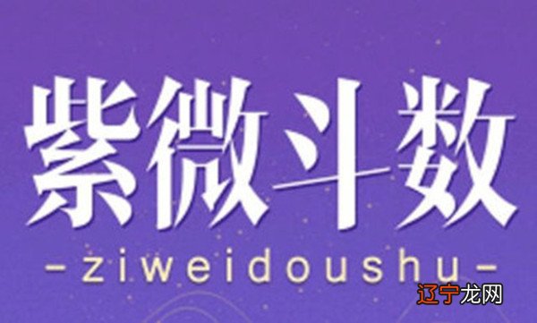 紫微命盘:解析廉贞七杀在丑宫