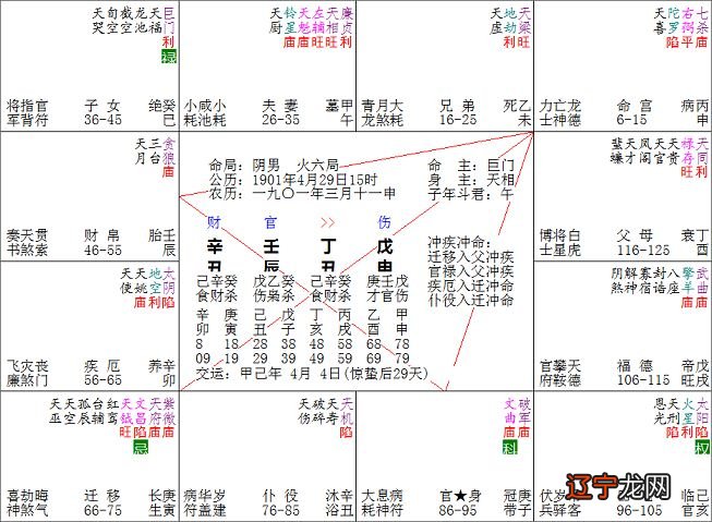 紫微命盘:解析廉贞七杀在丑宫