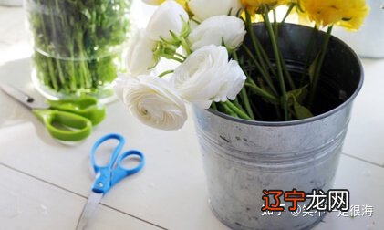 命硬的男人有哪些面相特征