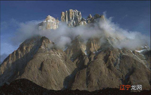 ,养九条鱼代表什么意思？是一些风水爱好者传给