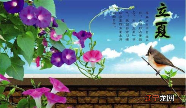 立夏习俗有哪些，立夏吃什么传统食物？