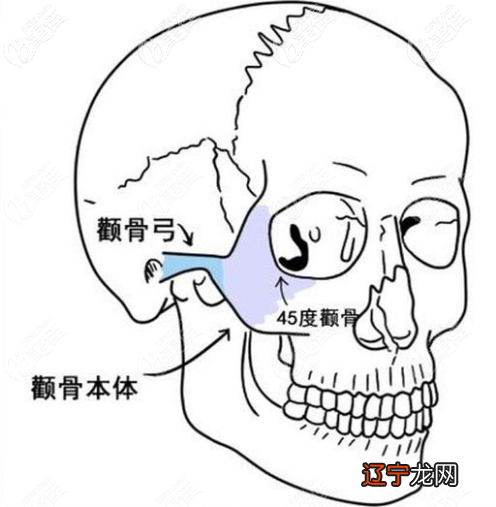 男人颧骨看面相要点