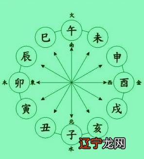 哪些八字注定长寿?