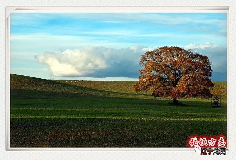 「节日节气」天地乾坤始渐肃，鹰隼捕鸟稷乃登——处暑
