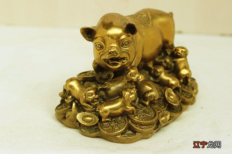 59年属猪人2022年事业运势在进入了2022凶星