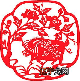 生肖猪属相性格特点有哪些？的人在人群中平平无奇