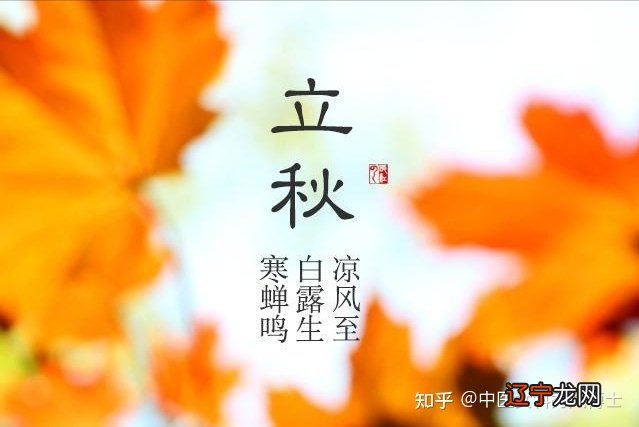 立秋跟三伏有啥关系?今年立秋后,还会有“秋老虎”吗?