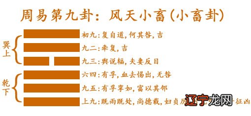 小畜卦 周易第9卦:风天小畜巽上乾下