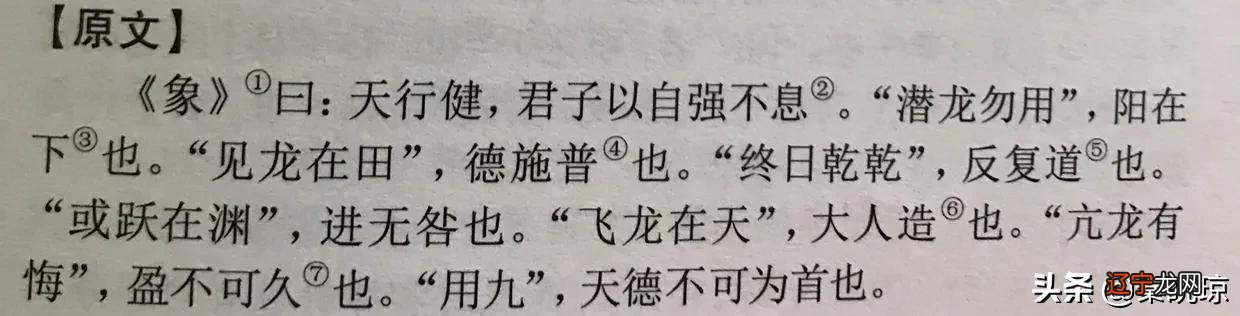 浪解“天行健 君子以自强不息”与“地势坤 君子以厚德载物”