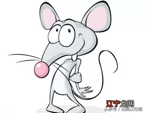 生肖鼠 2018年，十二生肖不同年份运势分析