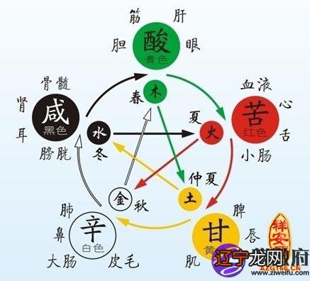 深藏在身体里的五行健康密码,缺哪个最致命?