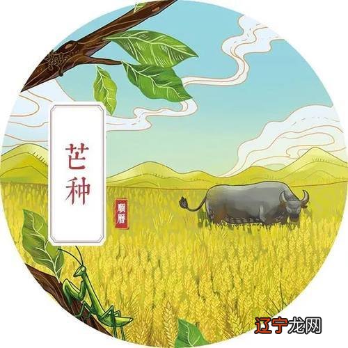 我国农历有多少个节气_农历24节气查询_2015年日历带农历 24节气