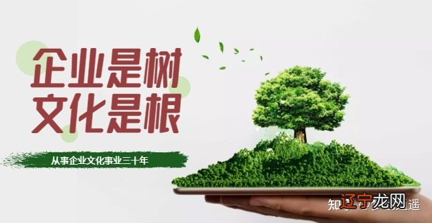 以人为本含义包括_文化的含义包括_奥林匹克文化含义