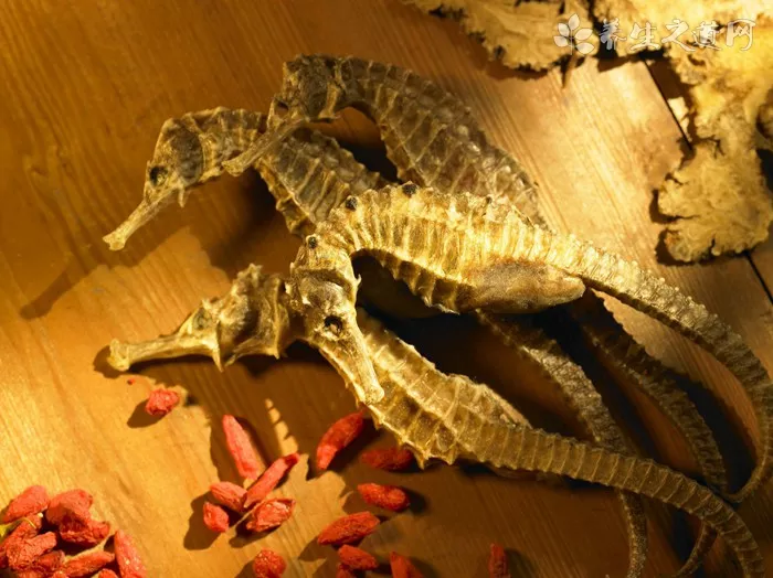 免费算两人八字合不合情侣生辰八字测算人在一起