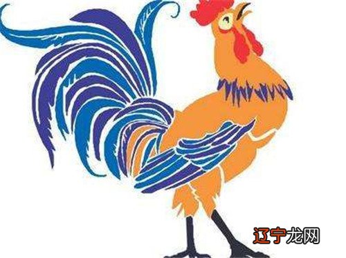 93年属鸡一生命运及婚姻,1993年属鸡人的命运