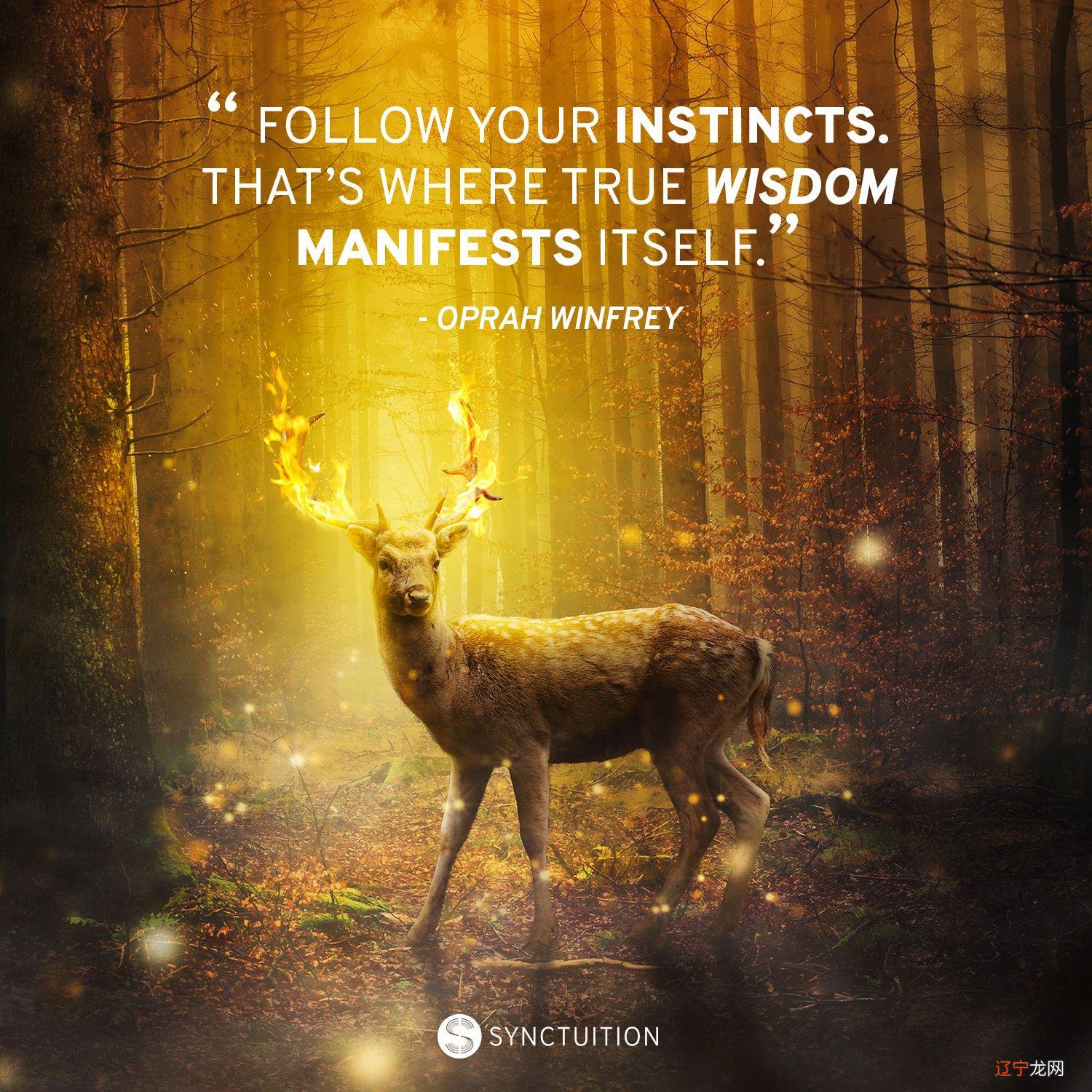 你的TA究竟有多爱你?占卜结果公布!