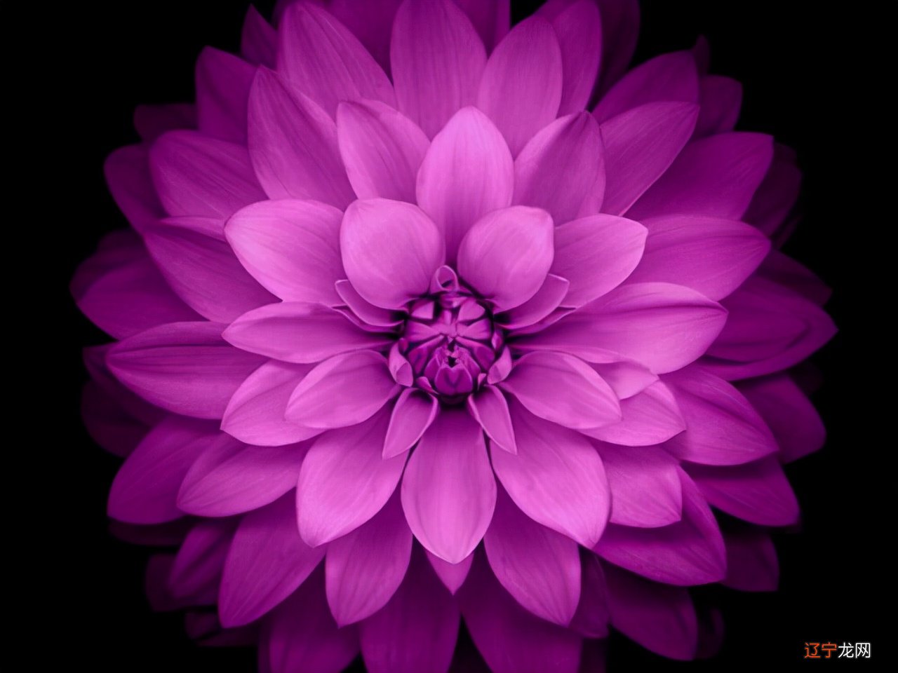 摩羯座的爱很清醒,但遇到这几个星座,他们不疯魔不成活