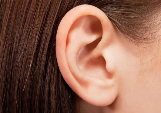 中年运势看那个五官 【李向东】有所破损，又代表着什么？你知道吗？