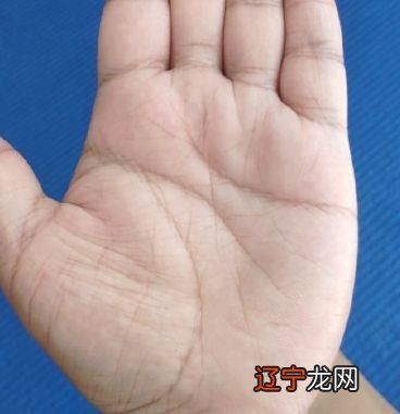 手相算命图解掌纹