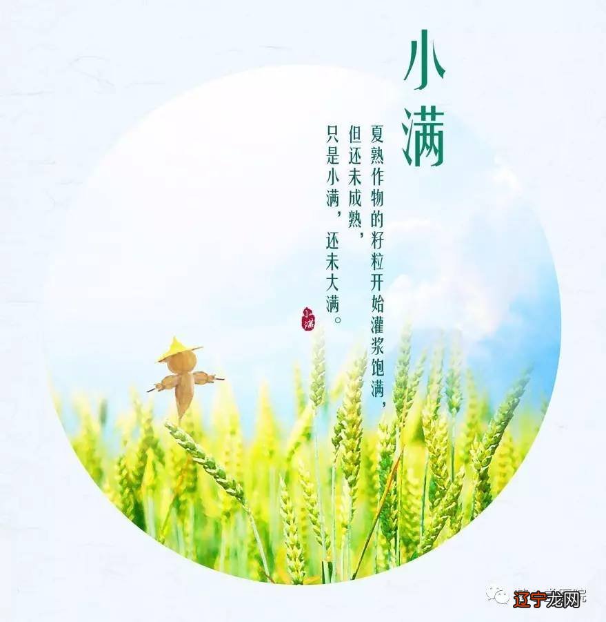 小满是什么意思啊?小满到了象征什么?