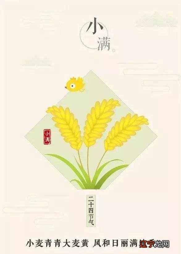 小满是什么意思啊?小满到了象征什么?