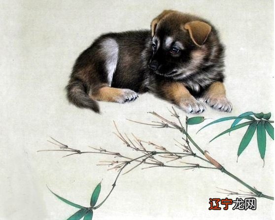 属狗人的出生月命运,属狗人几月出生优秀