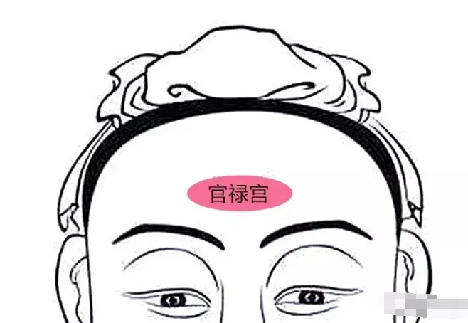 事业运看面相哪里,怎么看面相算命图解