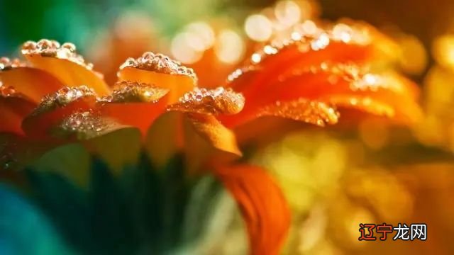 异性缘”很好的双子座，有人格魅力，身边追求者很多