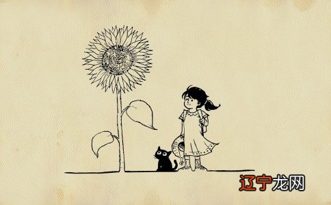 二 【每日一题】宣字宝宝取名带解释推荐