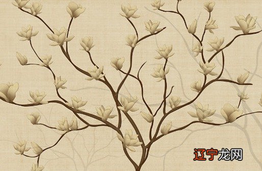 生辰八字配对姻缘查询,八字看你命中注定的另一半