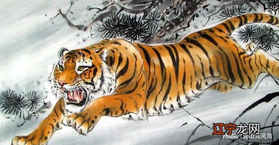 本月 86年属虎什么命1986年4月虎命运如何