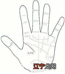 生命线短意味着什么 生命线短容易早夭吗
