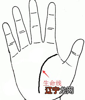 生命线短意味着什么 生命线短容易早夭吗