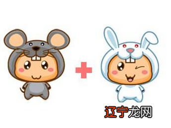 男女合婚配表男女十二生肖配对