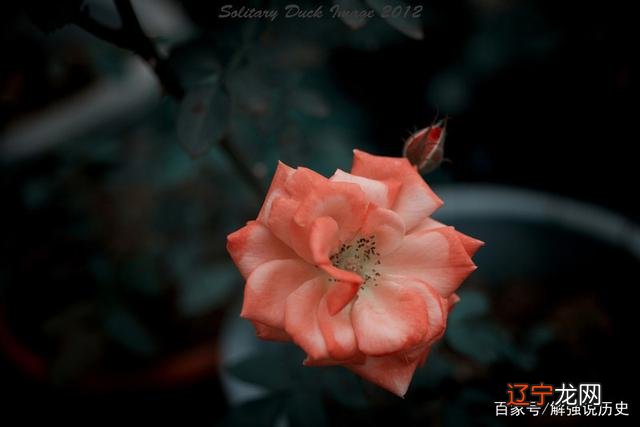 易经忠告:一个人要牢记,这三个习惯不能有,会让人“看不起”