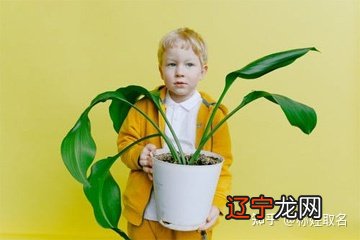 【李向东】属虎男孩最吉利的名字是什么?