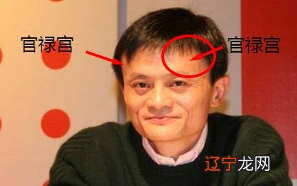 耳大垂珠明显的人财运和贵人运如何