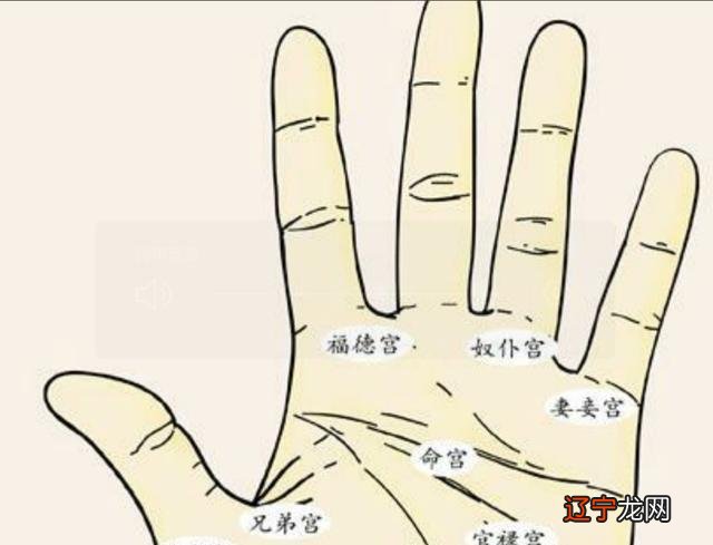 手相八卦十二宫,掌握小诀窍,自己就能看手相