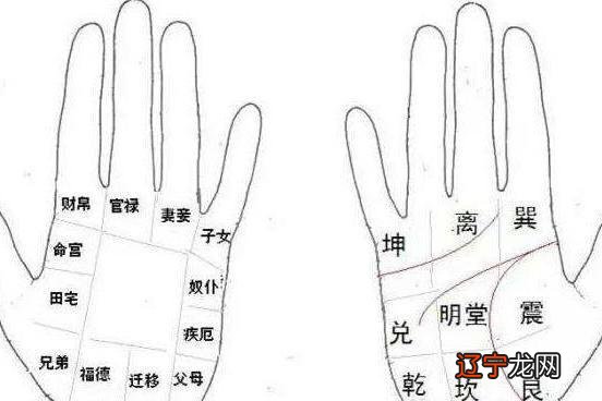 手相八卦十二宫,掌握小诀窍,自己就能看手相