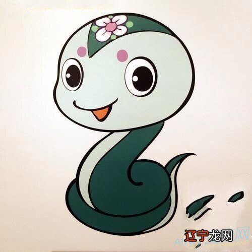 属蛇的女士和生肖蛇女士在一起吗?