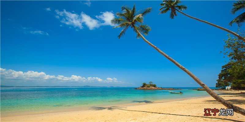 生辰八字多的二胎宝宝降临人间,当他们出生的那一刻