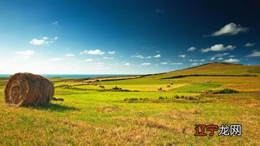 子时午时是几点到几点