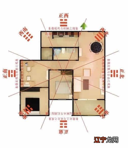 家中摆件有什么讲究 发财树要放在财位