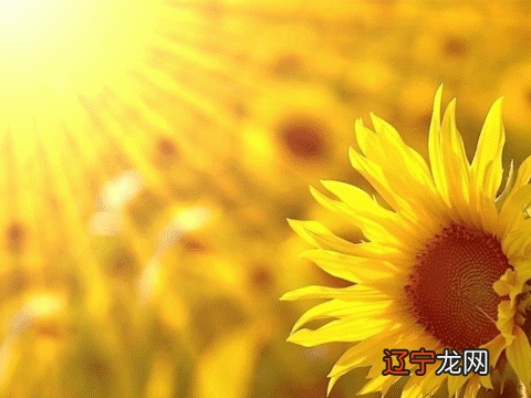 家里有鬼的征兆