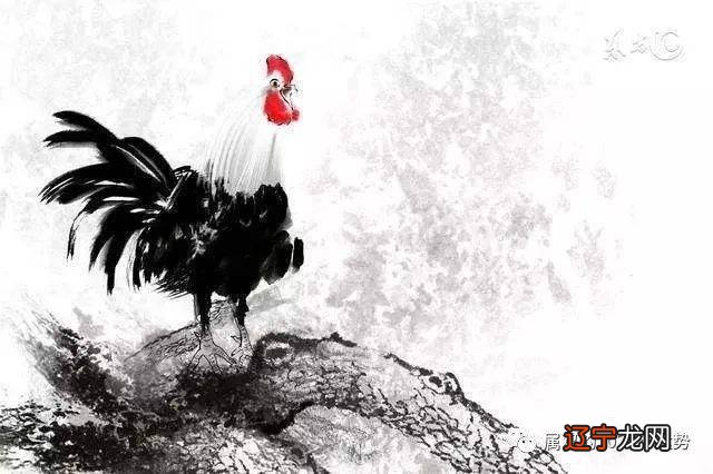 生肖属鸡人2017年运程每月运程_2017年属马的每月运程_2017年属蛇人每月运程