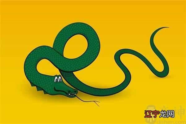 香港七星堂:生肖蛇福字宫的整年运势及运势